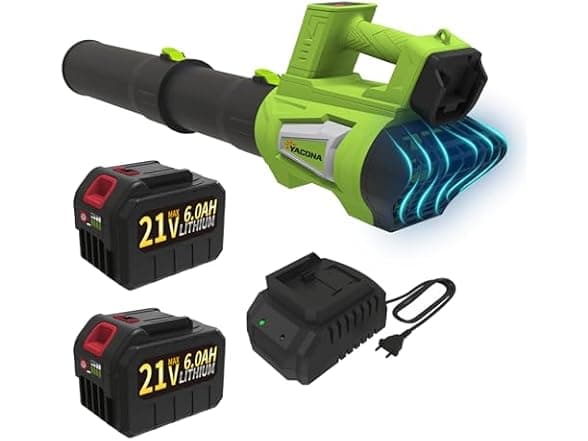 Leaf Cordless Leaf Blower - 21V Brushless, 6Ah Battery, Quiet