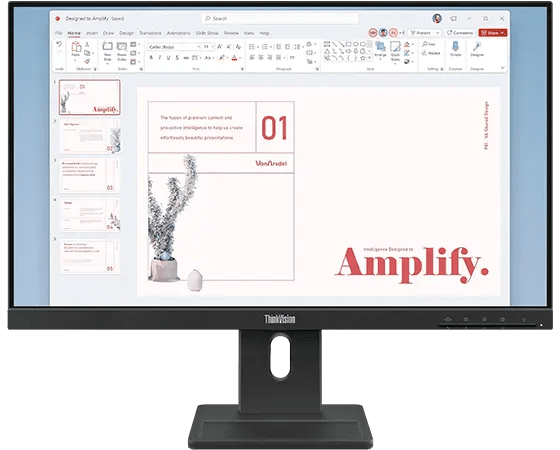 Lenovo ThinkVision E24-40 23.8-inch 100Hz IPS Monitor