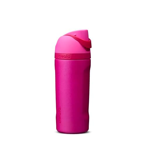 Owala FreeSip 16 oz Insulated Stainless Steel Water Bottle